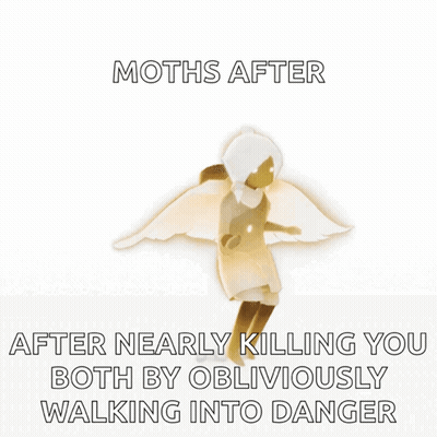 Moths Walking Into Danger Poster GIF