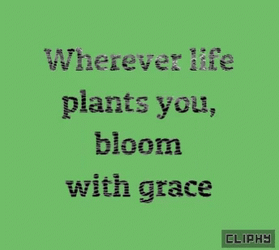 Motivational Monday Bloom With Grace GIF