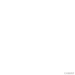 Motivational You Can Do It Cat  GIF