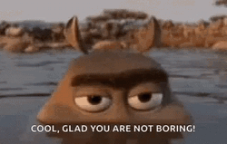 Moto Moto Madagascar Glad You Are Not Boring GIF