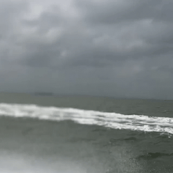 Motorboat Fast Craft GIF