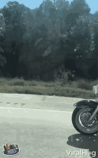 Motorcycle Driving Down Highway Saying Viralhog GIF