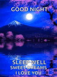 Mount Fuji Goodnight Sweet Dreams GIF