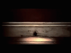 Mouse Eating Cheese Bait GIF