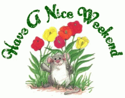Mouse Have A Nice Weekend Greeting Sparkle GIF
