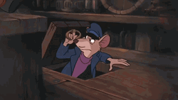 Mouse Head Out From The Fight GIF