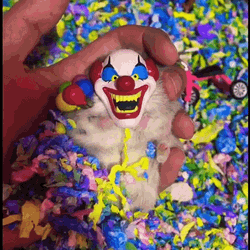 Mouse In Scary Halloween Clown GIF