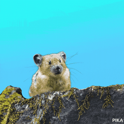 Mouse In Top Hat And Mustache Saying Trust Me Bro Im A Doctor GIF