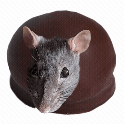 Mouse Sitting On Chocolate Ball GIF