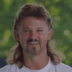 Moustache Guy Waving Mullet Hair GIF