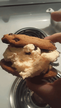 Mouthwatering Choco Chip Cookie Sandwich GIF
