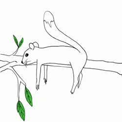 Moviing Sketch Of A Squirrel GIF
