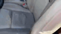 Moving Day Thumbs Up GIF