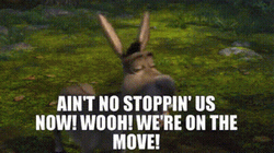 Moving On Up Naughty Donkey Shrek GIF