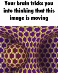 Moving Purple Hive Optical Illusions GIF