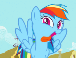 Moving Rainbow Dash Pony GIF