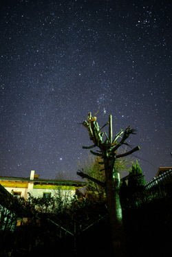 Moving Starry Night Sky Featuring Buildings GIF