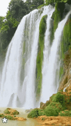 Moving Water Falls GIF