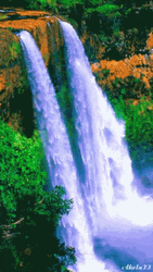 Moving Water High Falls GIF