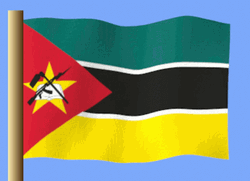 Mozambique Flag Cartoon GIF