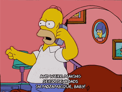 Mozambique Homer Simpson GIF