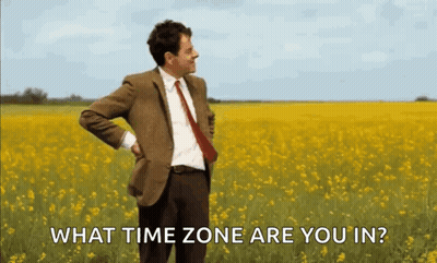mr bean is standing in a field of yellow flowers and asking what time zone are you in .