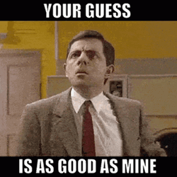 Mr Bean No Idea GIF