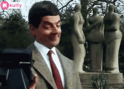 Mr. Bean Selfie GIF