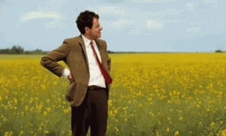 Mr Bean Waiting GIF