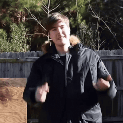 Mr Beast Dab Meme GIF