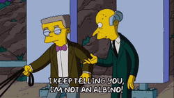 Mr Burns Waylon Smithers I'm Not Albino GIF