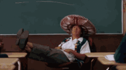 Mr. Chow Will Download It GIF
