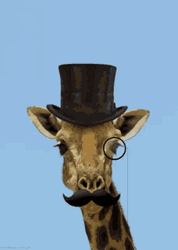 Mr. Giraffe Winking GIF