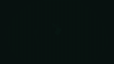 Mr. Irrelevant On Black Background GIF