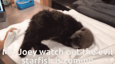 Mr. Joey Watch Out The Evil Starfish Is Coming Written On A Screen GIF