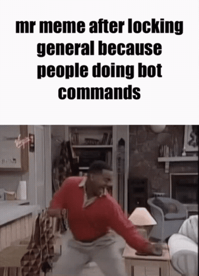 Mr Meme After Locking General Because People Doing Bot Commands