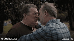 Mr. Mercedes Hug Meme GIF