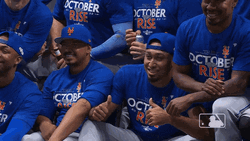 Mr Met Introducing Players GIF