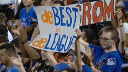Mr Met Supporters Cheering Banner GIF