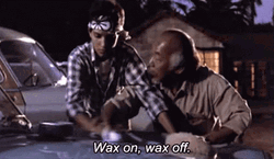 Mr Miyagi Daniel LaRusso Wax On Wax Off A Car GIF