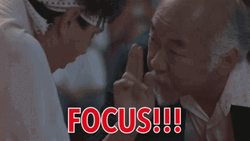 Mr Miyagi Karate Focus GIF