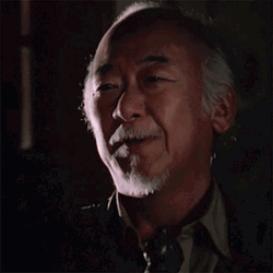 Mr Miyagi Karate Kid Good Decision GIF