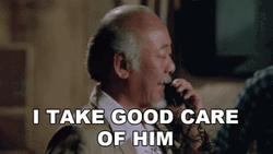 Mr Miyagi Karate Kid I Take Good Care Of Him GIF