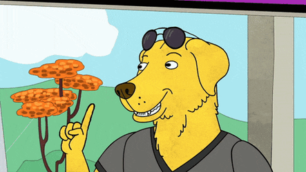 Mr Peanutbutter Bojack Horseman GIF