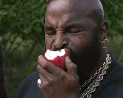 Mr T Munching On Apples GIF