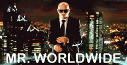 Mr. World Pitbull GIF