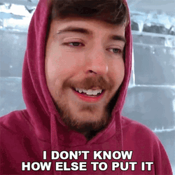 Mrbeast I Dont Know GIF