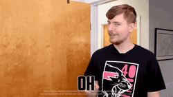 Mrbeast No No No GIF
