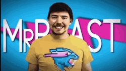 Mrbeast Sturtle Someone GIF