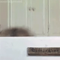 Mrs Doubtfire Funny Melting Face GIF